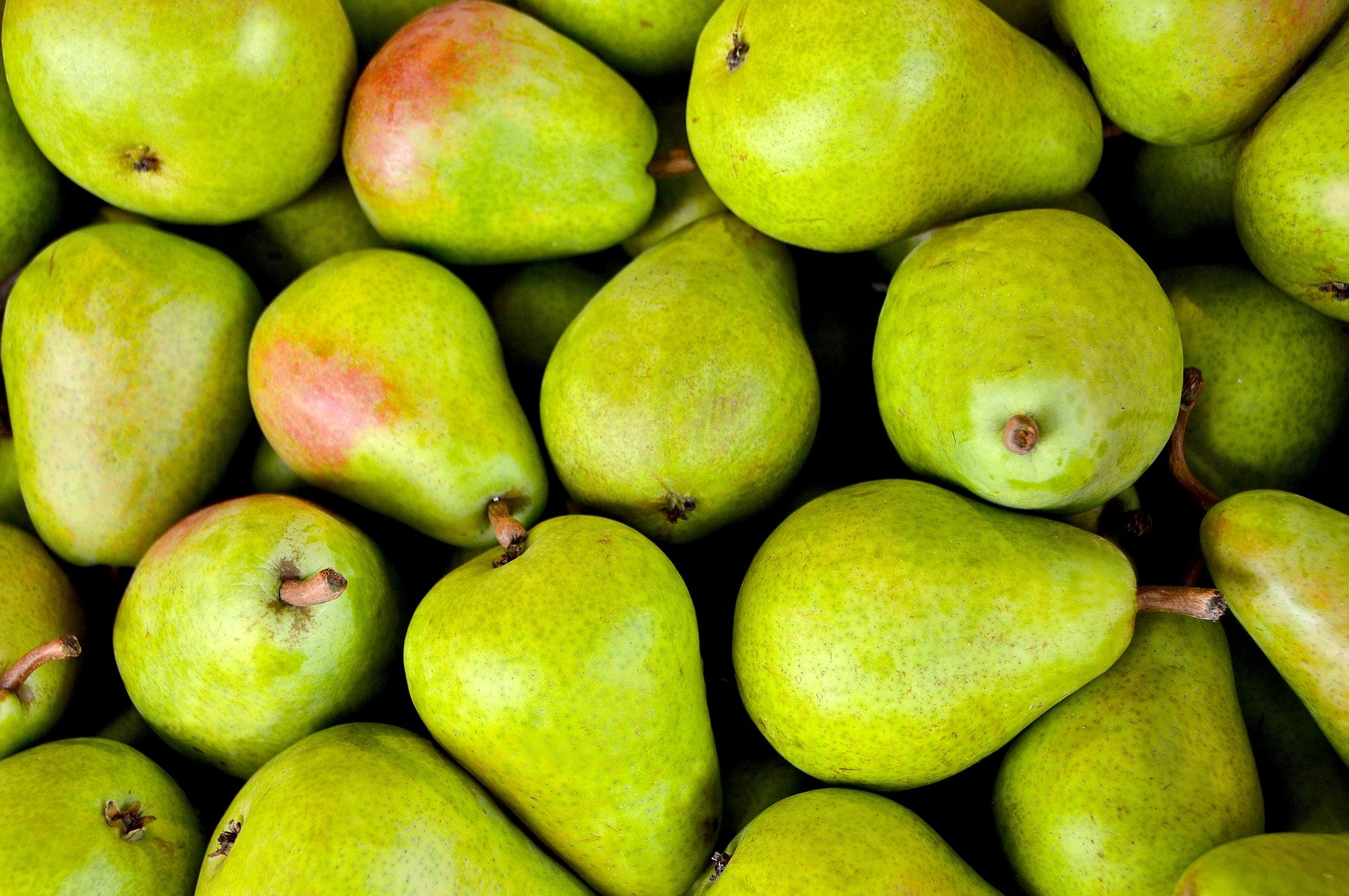 Do you want to be sustainable? Don’t waste food 2 min read